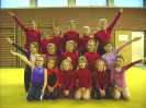 2007 Gerätturnen Bezirk