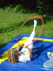 2006 Landeskinderturnfest