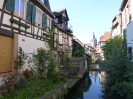 2016 Pfalz