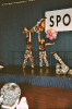 2004 Sportlerball